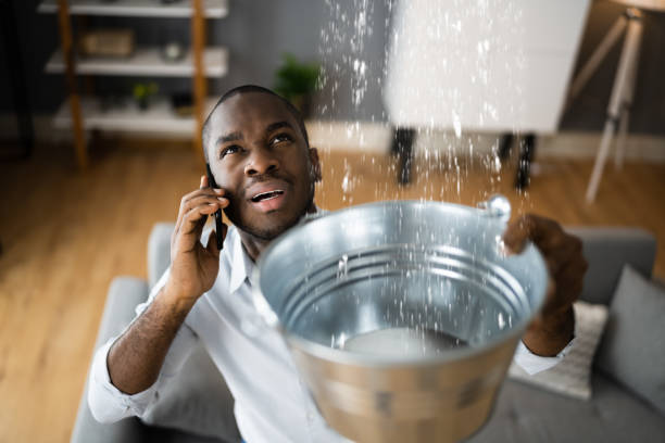 Best Basement water damage restoration  in Sans Souci, SC