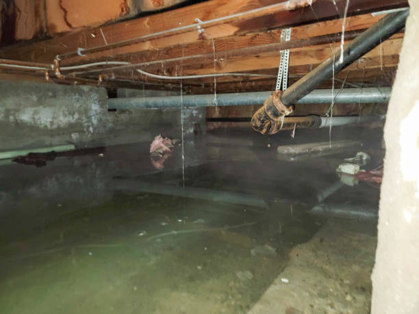 Best Commercial water damage restoration  in Sans Souci, SC