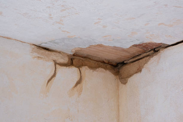 Best Ceiling water damage repair  in Sans Souci, SC