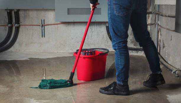 Best Flooded house restoration  in Sans Souci, SC