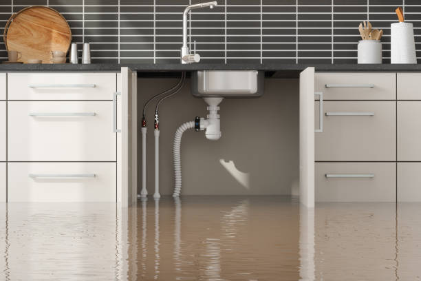 Best Water damage restoration near me  in Sans Souci, SC